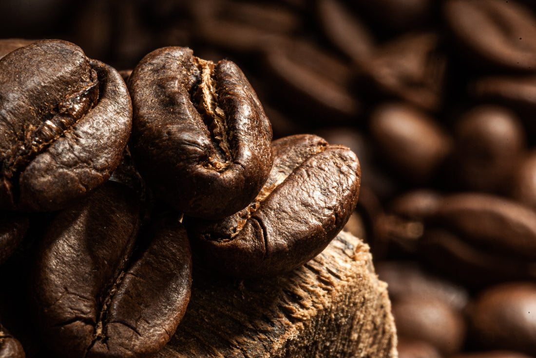 Stupně pražení kávy: průvodce pro lepší výběr